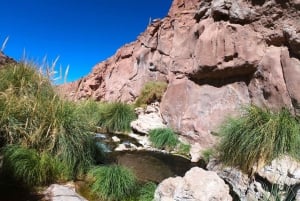 Atacama: Termas de Puritama varme kilder