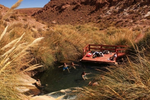 Atacama: Termas de Puritama Hot Springs