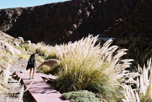Atacama: Termas de Puritama Hot Springs