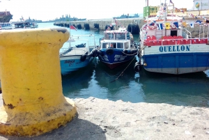 Autentiska Valparaiso: Gatukonst, linbanor och hamnstad