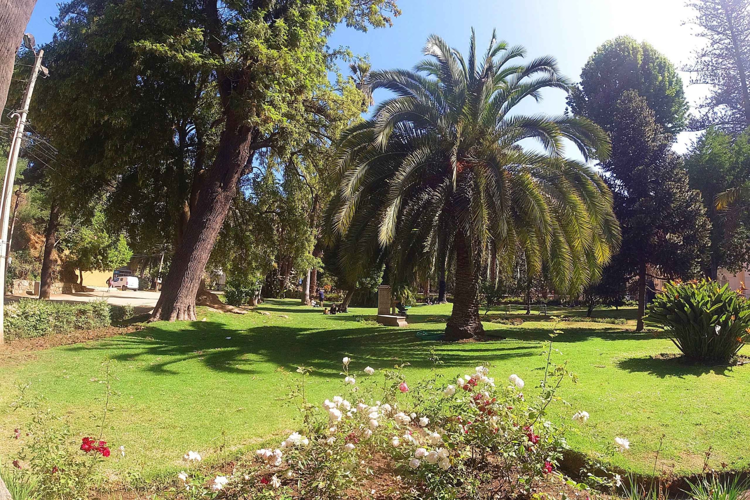 La vera Viña del Mar: la città giardino
