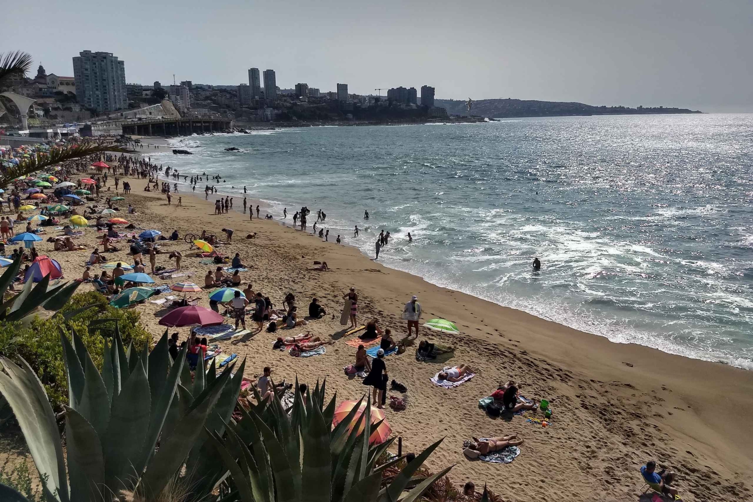 La vera Viña del Mar: la città giardino