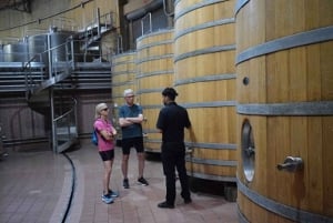 Aventura de senderismo y cata de vinos en Harás de Pirque