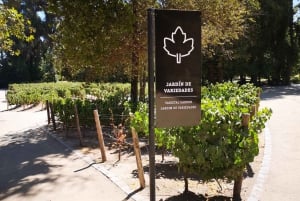 Bahá'í Tempel + Concha y Toro wijnmakerij met ophaalservice vanaf je hotel