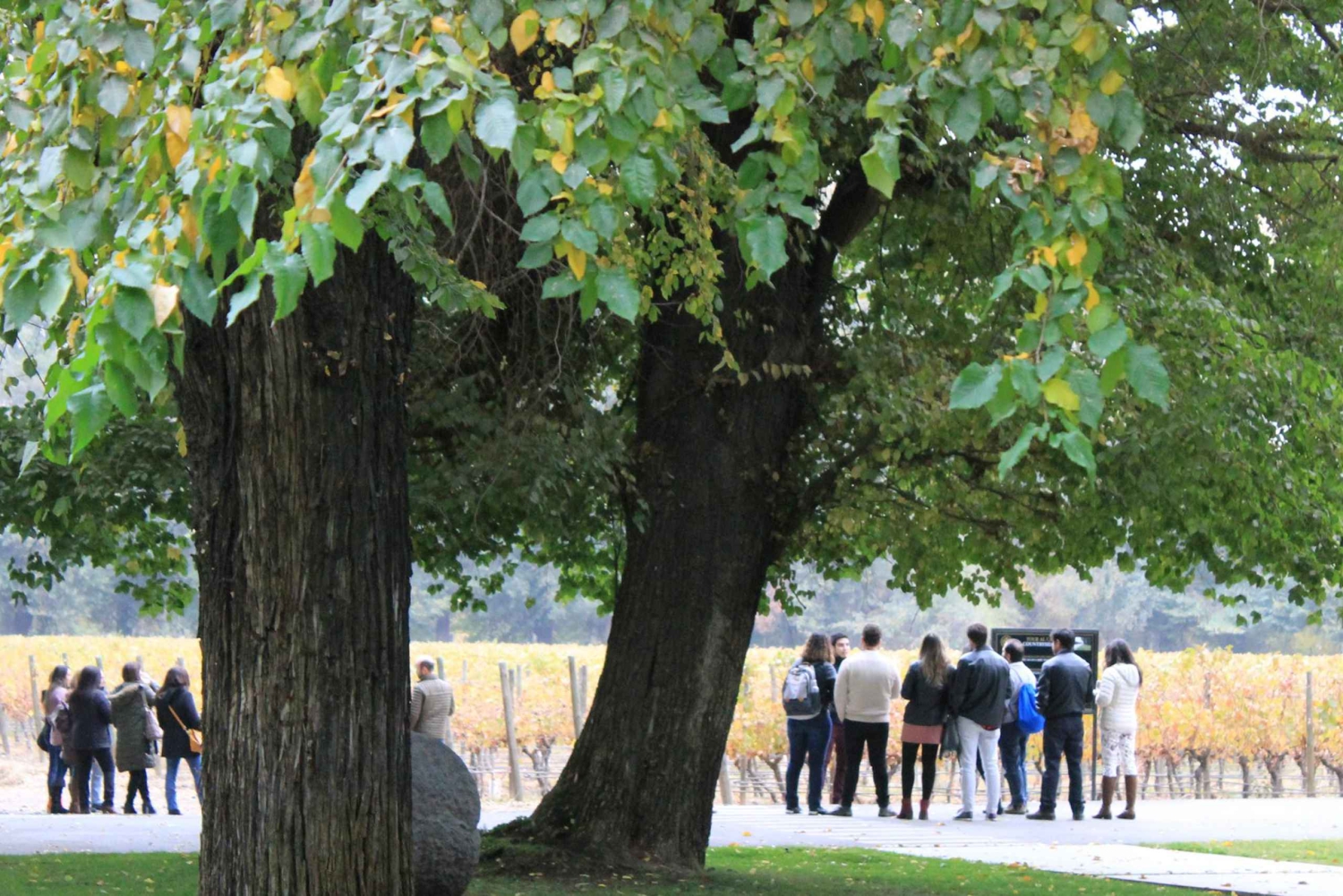 Temple Bahá'i et vignoble Cousiño Macul