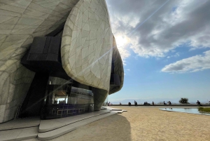 Temple Bahá'i et vignoble Cousiño Macul