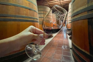 Temple Bahá'i et vignoble Cousiño Macul