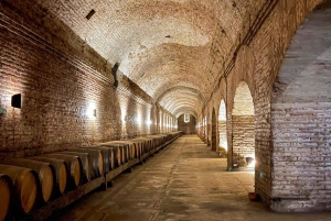 Temple Bahá'i et vignoble Cousiño Macul