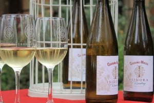 Temple Bahá'i et vignoble Cousiño Macul