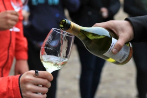 Temple Bahá'i et vignoble Cousiño Macul