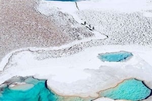 Lagunas Ocultas de Baltinache: Los baños curativos de agua salada de Atacama