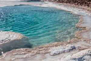 Lagoas Baltinache - Tour : San Pedro de Atacama - Chile