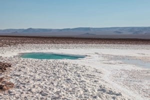 Lagoas Baltinache - Tour : San Pedro de Atacama - Chile