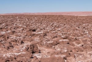 Lagoas Baltinache - Tour : San Pedro de Atacama - Chile