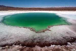 Lagoas Baltinache - Tour : San Pedro de Atacama - Chile