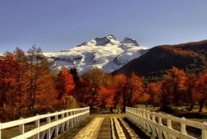 Bariloche: Cerro Tronador Tour