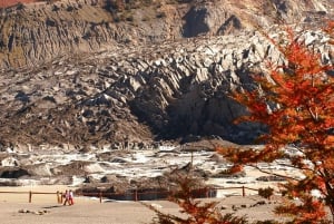 Bariloche: Cerro Tronador Tour