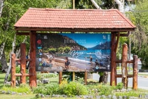 Bariloche: Full-Day El Bolsón and Puelo Lake Tour