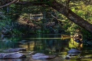 Bariloche : visite d'une jounée à El Bolsón et au lac Puelo