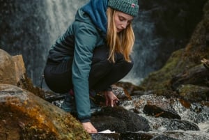 Visite d'une journée complète des saveurs du canal Beagle