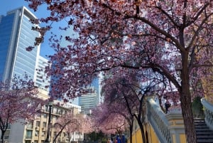 Bättre med en guide: Historia, kultur och rekommendationer i Santiago.