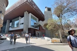 Beter met een gids: geschiedenis, cultuur en tips voor Santiago.