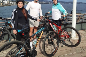 Bike ride along the coast of Viña del Mar or Valparaíso, you choose!