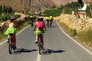 Passeio de bicicleta, vilas de Elqui