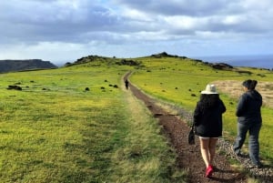 Birdman-seremonirute: Halvdagsomvisning i Orongo og Rano Kau