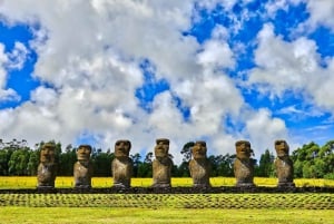 Culto al Hombre Pájaro y Cuevas