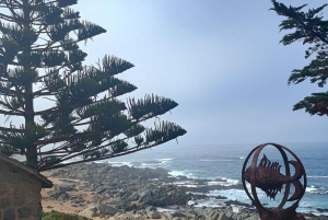 ЧЕРНЫЙ ОСТРОВ И ЧИЛИЙСКОЕ ВИНО