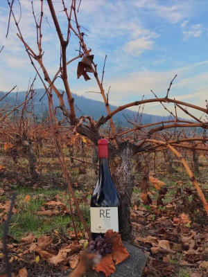 Bodegas RE