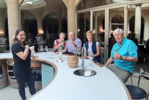 Boutique Alto Maipo Valley Wine Tastings from Santiago