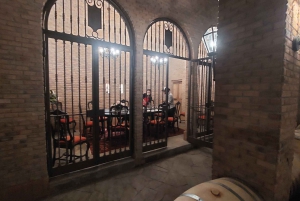 Boutique Alto Maipo Valley Wine Tastings from Santiago