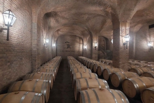 Boutique Alto Maipo Valley Wine Tastings from Santiago