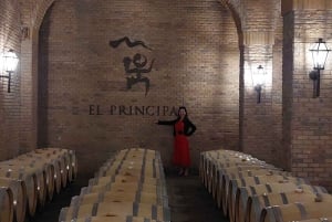 Boutique Alto Maipo Valley Wine Tastings from Santiago