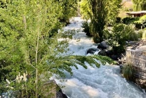 Private Wine Tour Maipo Valley and Andes Mountain