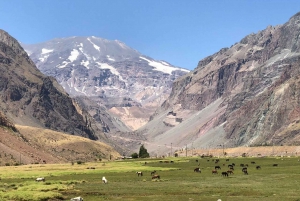 Private Wine Tour Maipo Valley and Andes Mountain