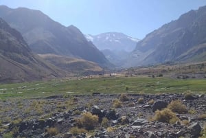 Private Wine Tour Maipo Valley and Andes Mountain