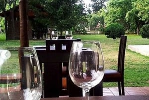 Private Wine Tour Maipo Valley and Andes Mountain