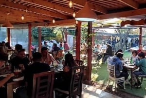 Private Wine Tour Maipo Valley and Andes Mountain