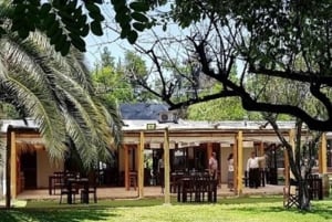 Private Wine Tour Maipo Valley and Andes Mountain