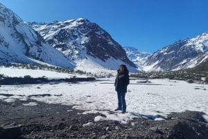 Private Wine Tour Maipo Valley and Andes Mountain