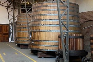 Cajón del Maipo + zbiornik El Yeso + prywatny transport