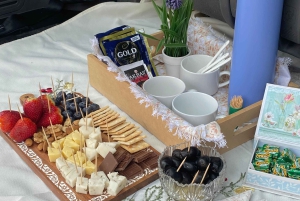 Cajón del Maipo + zbiornik El Yeso + prywatny transport