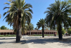 Cajón del Maipo + zbiornik El Yeso + prywatny transport