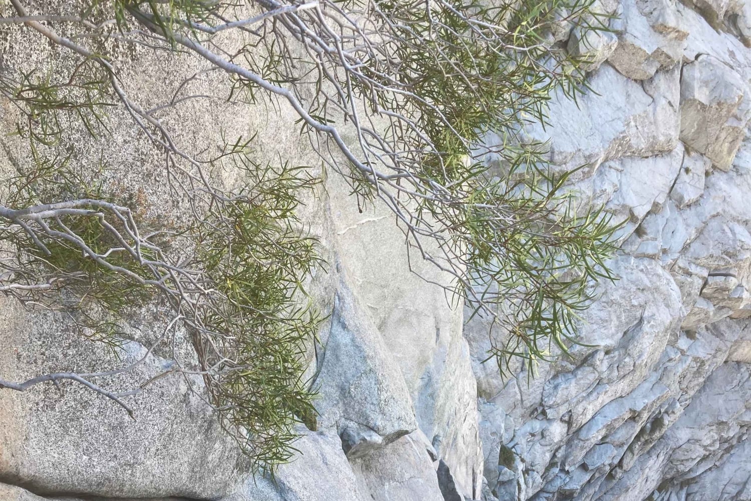 Cajón del Maipo: Felsklettern mit einem zertifizierten Guide