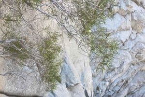 Cajón del Maipo: Felsklettern mit einem zertifizierten Guide