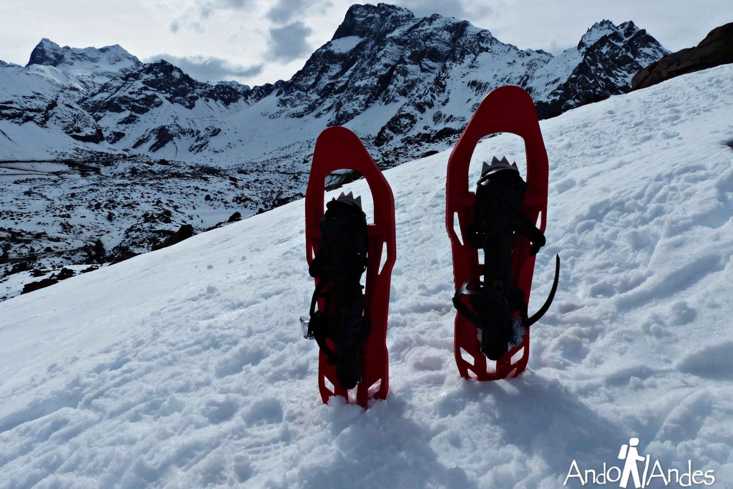 Snowshoe Hikes Large Snowshoes From Santiago: Snowshoeing Hike At