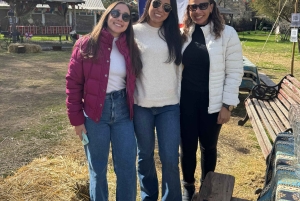 Cajón del Maipo med chilensk fest